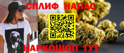прущие грибы Северобайкальск