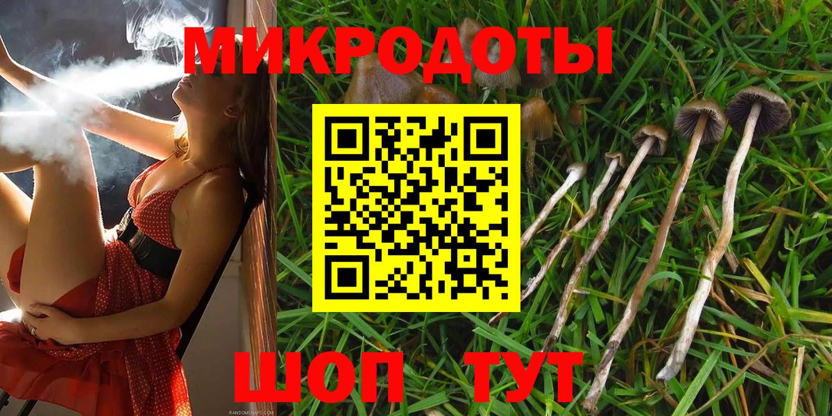 Псилоцибиновые грибы прущие грибы  Галлюциногенные грибы Cubensis  Рославль  Вход с VPN 