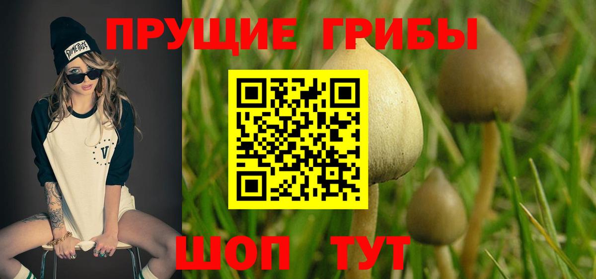 Галлюциногенные грибы GOLDEN TEACHER Рославль
